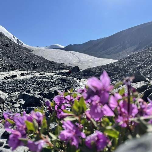 Photo #11440242
