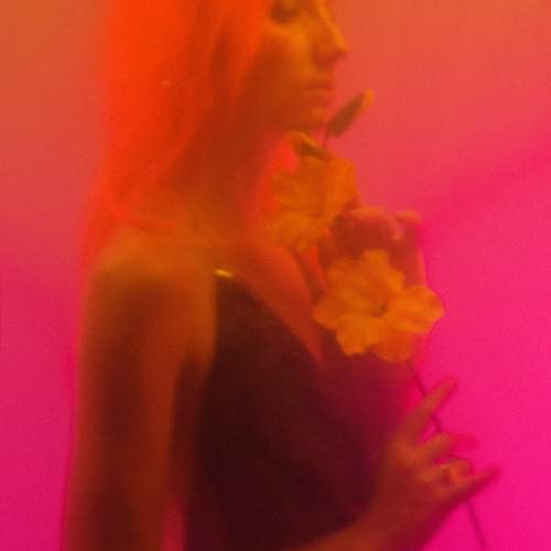 Photo #11440642