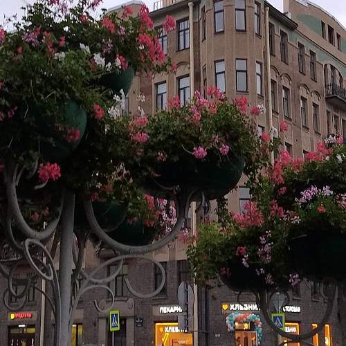 Photo #11441317