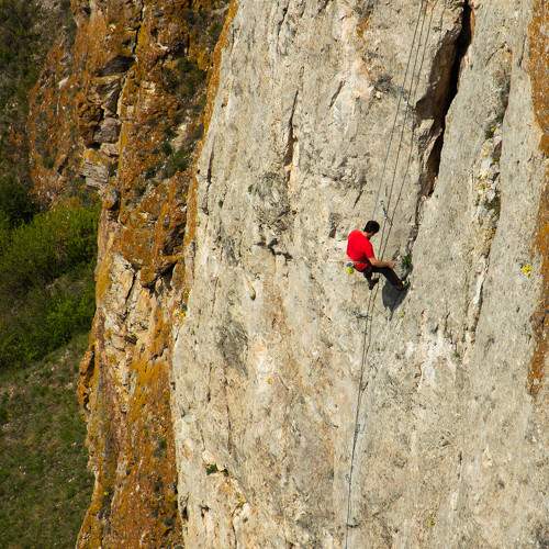 Photo #11442039