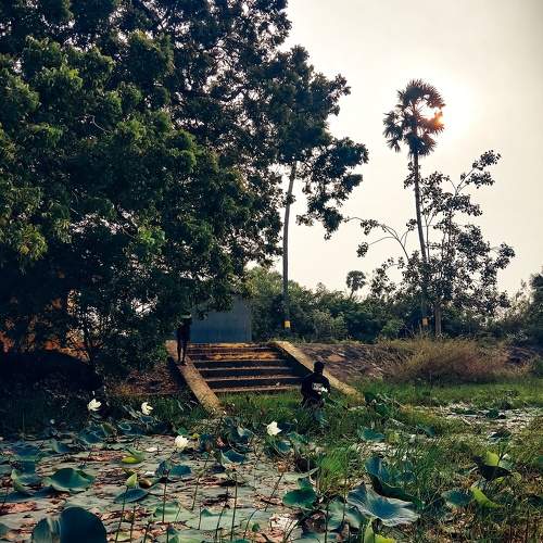 Photo #11442194
