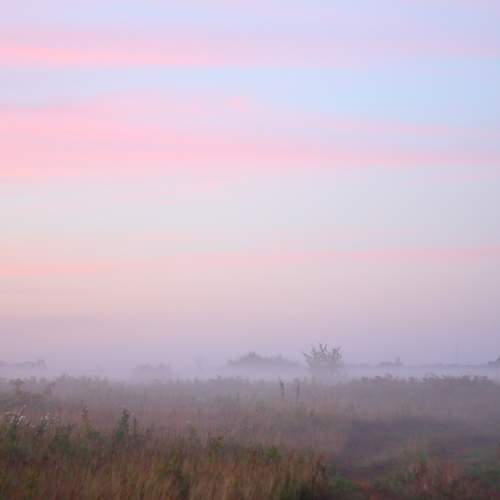 Photo #11442378