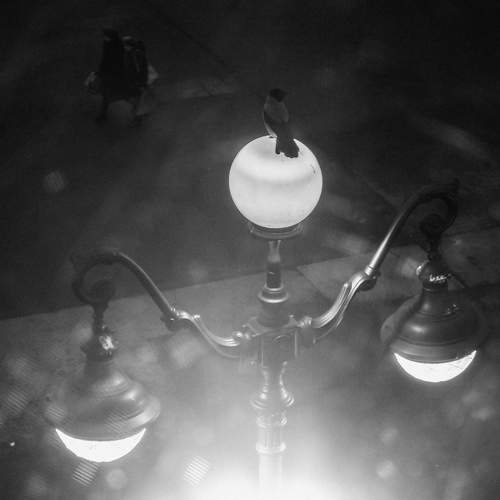 Photo #11442503