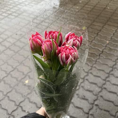 Photo #11442721