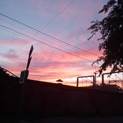 Photo #11442727