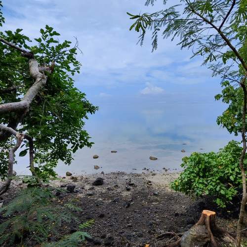 Photo #11442804