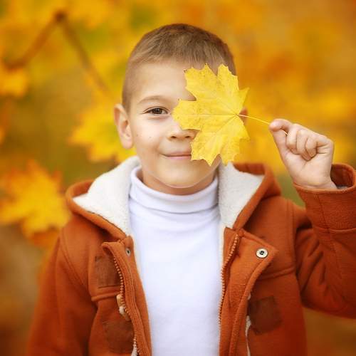 Photo #11442866