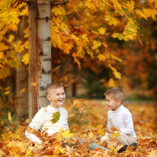 Photo #11442870