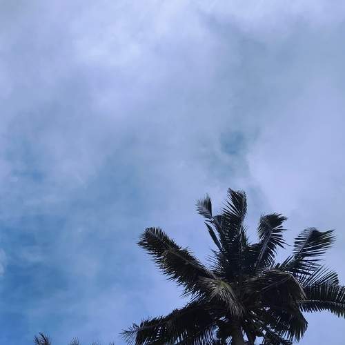 Photo #11442930