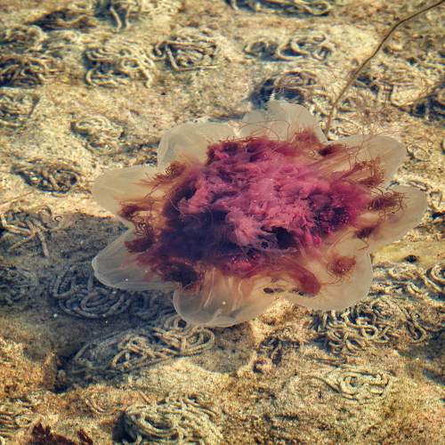 Photo #11443032