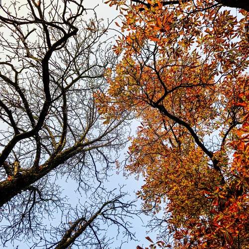 Photo #11443331