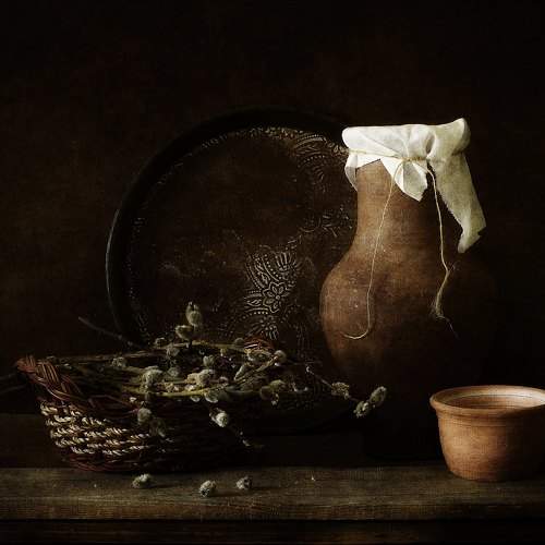 Photo #11443613