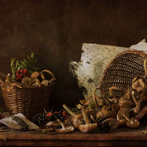 Photo #11443634