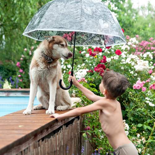 Photo #11444043