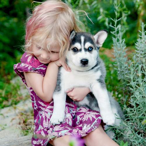 Photo #11444051