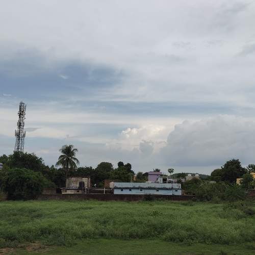 Photo #11444278