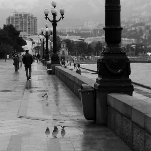 Photo #11444288