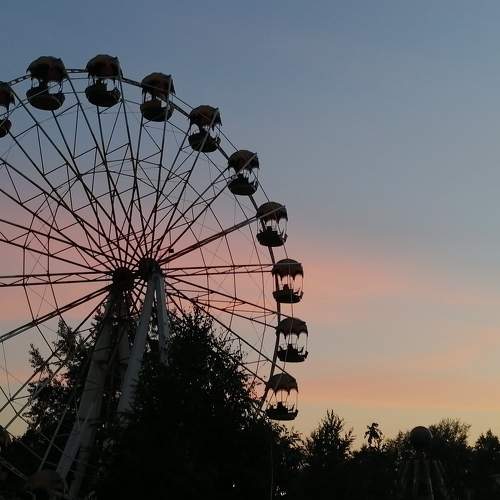 Photo #11444407