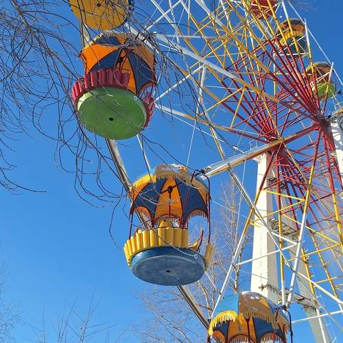 Photo #11444432