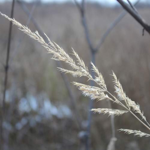 Photo #11444650