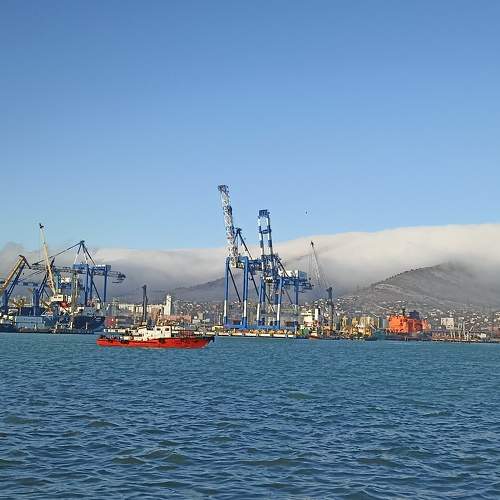 Photo #11444684