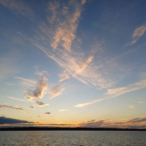 Photo #11445108