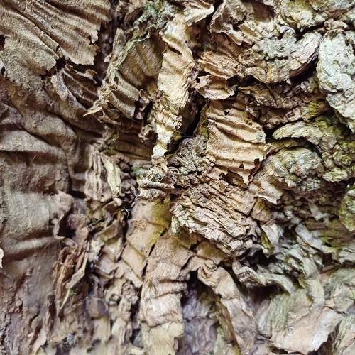 Photo #11445119