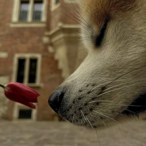 Photo #11445437