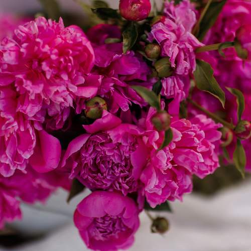 Photo #11445623