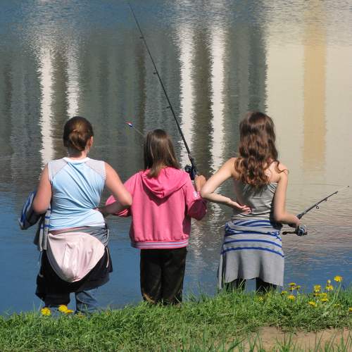 Photo #11445797