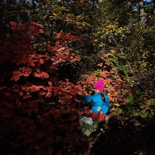 Photo #11446020