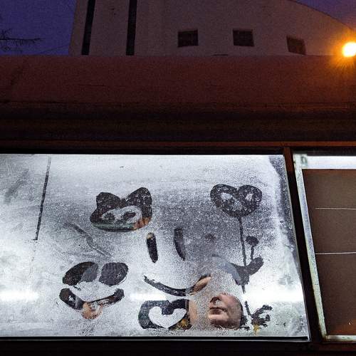 Photo #11446189