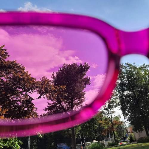 Photo #11446549
