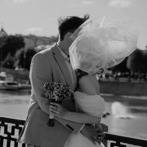 Photo #11446643