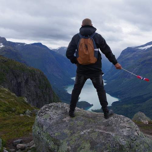 Photo #11446742