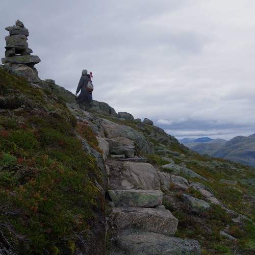 Photo #11446744