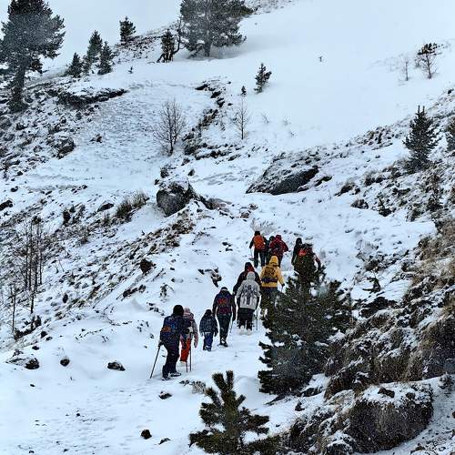 Photo #11446758