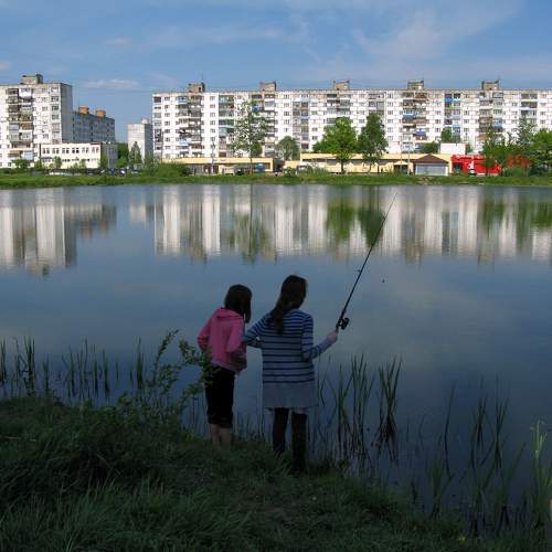 Photo #11447178