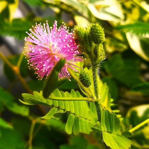 Photo #11447213