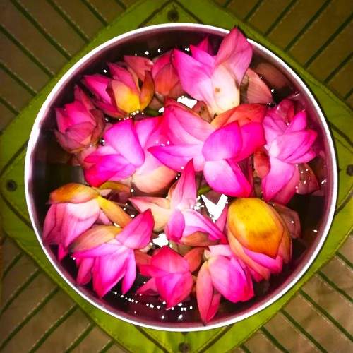 Photo #11447216
