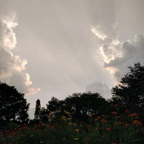 Photo #11447437