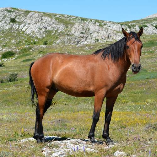 Photo #11447672