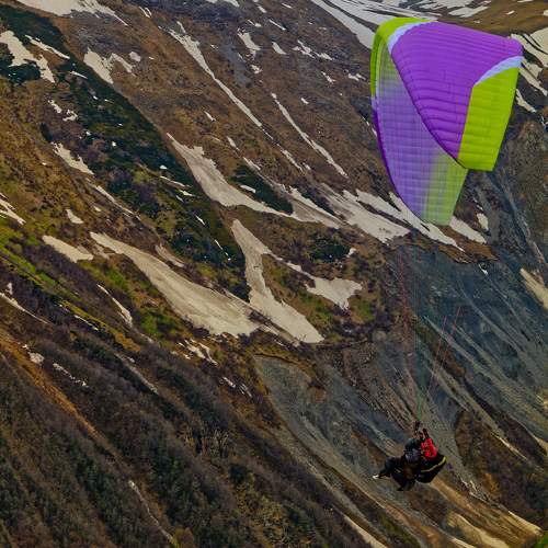 Photo #11447681