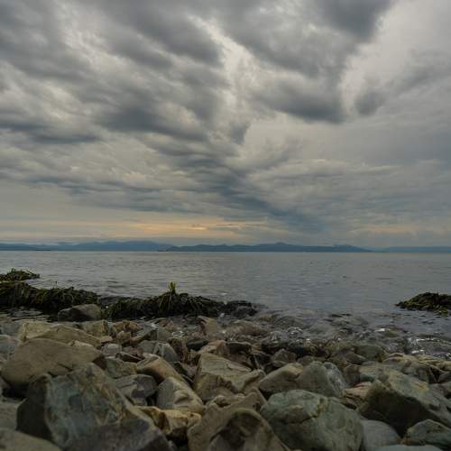 Photo #11447801