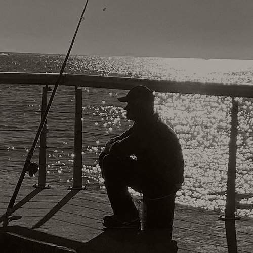 The sea wolf