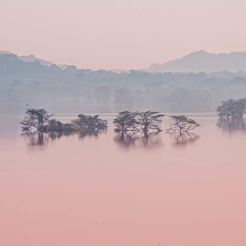 Photo #11447900