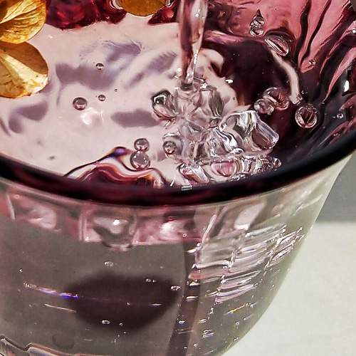 Photo #11448030