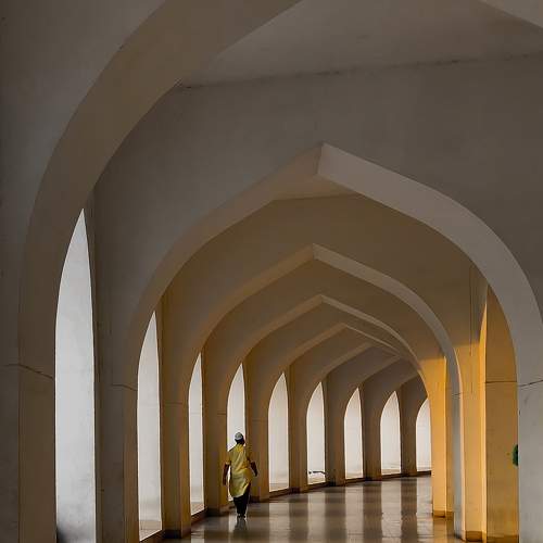 Photo #11448049