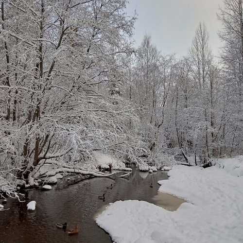 Photo #11448091