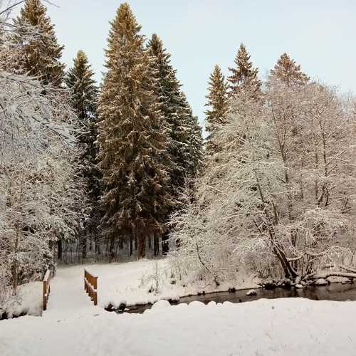 Photo #11448102